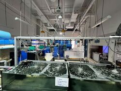 JTC Space @ Tampines North (D18), Retail #600107521